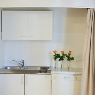 Ein kleiner Küchenbereich mit einer Edelstahlspüle und weißen Küchenschränken. Auf der Arbeitsfläche stehen drei Vasen mit orangefarbenen Rosen. Rechts daneben ist ein Geschirrspüler zu sehen.