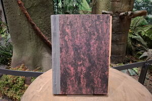 Auf der Fotografie ist ein geschlossenes Buch abgebildet. Es ist ca. DIN A4 groß und hat einen dunkelrot- und schwarzmelierten Einband. Der Buchrücken ist grau. Im Hintergrund ist ein Teil der Inszenierung des Steinkohlenwaldes zu sehen.