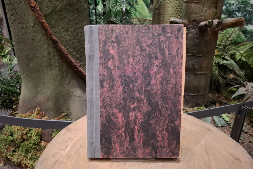 Auf der Fotografie ist ein geschlossenes Buch abgebildet. Es ist ca. DIN A4 groß und hat einen dunkelrot- und schwarzmelierten Einband. Der Buchrücken ist grau. Im Hintergrund ist ein Teil der Inszenierung des Steinkohlenwaldes zu sehen.